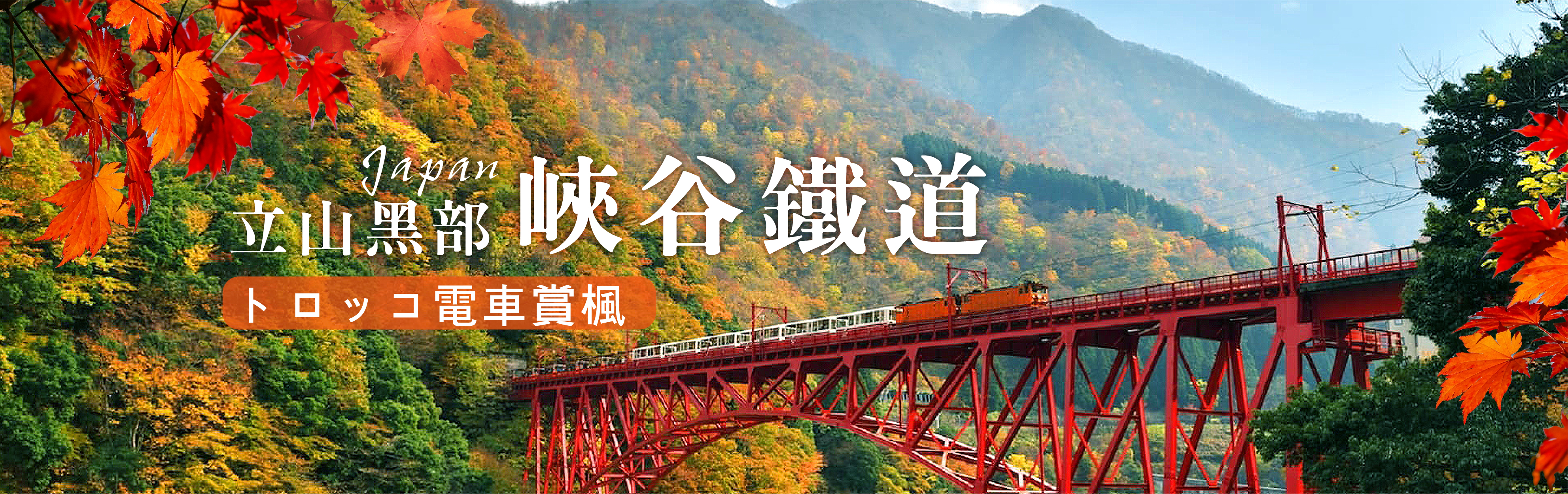 活力假期